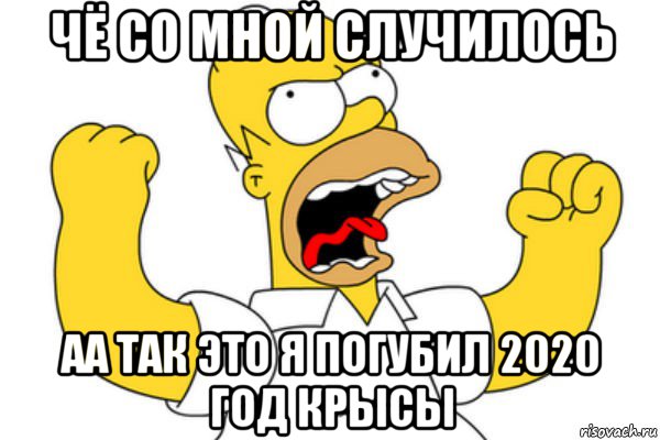 чё со мной случилось аа так это я погубил 2020 год крысы, Мем Разъяренный Гомер