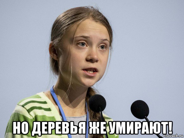  но деревья же умирают!, Мем Greta Thunberg