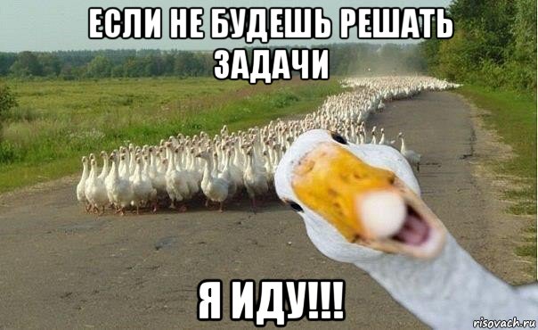 если не будешь решать задачи я иду!!!, Мем гуси