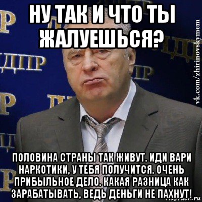 ну так и что ты жалуешься? половина страны так живут. иди вари наркотики, у тебя получится. очень прибыльное дело. какая разница как зарабатывать, ведь деньги не пахнут!, Мем Хватит это терпеть (Жириновский)