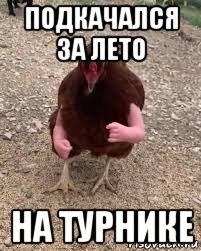 подкачался за лето на турнике, Мем Ививиу