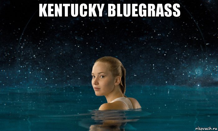 kentucky bluegrass , Мем Jennifer Lawrence - Passengers 2016