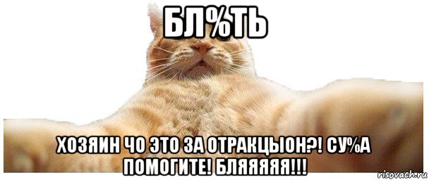 бл%ть хозяин чо это за отракцыон?! су%а помогите! бляяяяя!!!