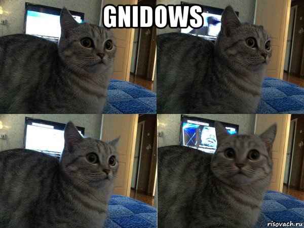 gnidows 