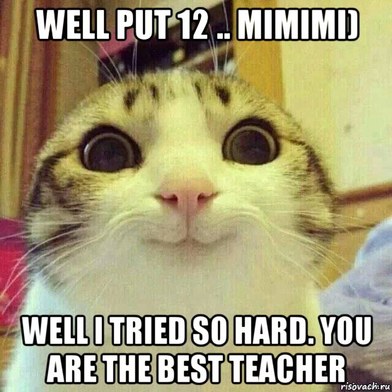 well put 12 .. mimimi) well i tried so hard. you are the best teacher, Мем       Котяка-улыбака