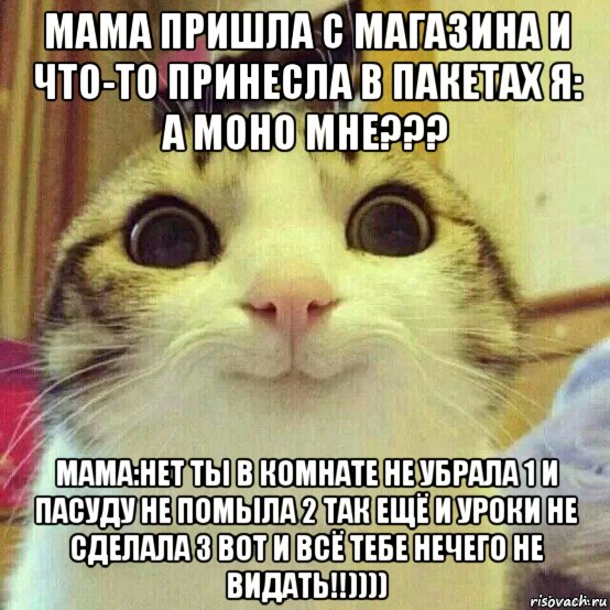 мама пришла с магазина и что-то принесла в пакетах я: а моно мне??? мама:нет ты в комнате не убрала 1 и пасуду не помыла 2 так ещё и уроки не сделала 3 вот и всё тебе нечего не видать!!)))), Мем       Котяка-улыбака