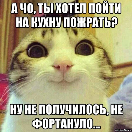 а чо, ты хотел пойти на кухну пожрать? ну не получилось, не фортануло..., Мем       Котяка-улыбака