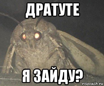 дратуте я зайду?