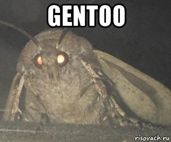 gentoo 