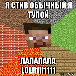 я стив обычный я тупой лалалала lol!!1!!1111, Мем Миникрафтер