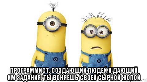  программист, создающий людей и дающий им задания, ты воняешь своей сырной жопой, Мем Миньоны