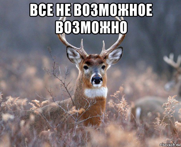 все не возможное возможно , Мем   Наивный олень