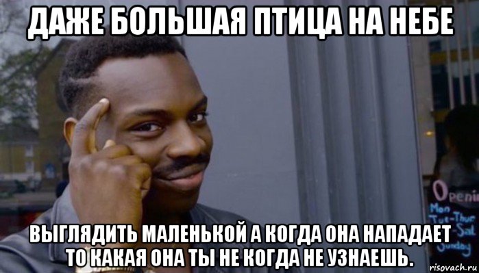 даже большая птица на небе выглядить маленькой а когда она нападает то какая она ты не когда не узнаешь., Мем Не делай не будет