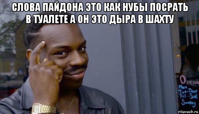 слова пайдона это как нубы посрать в туалете а он это дыра в шахту 