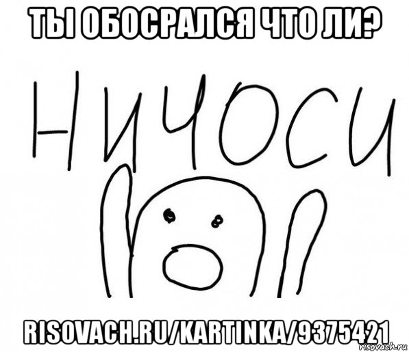 ты обосрался что ли? risovach.ru/kartinka/9375421, Мем  Ничоси