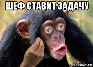 шеф ставит задачу , Мем Ну причём тут