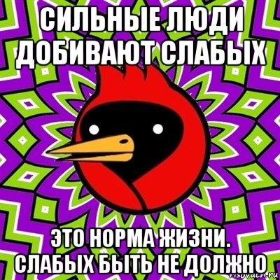 сильные люди добивают слабых это норма жизни. слабых быть не должно, Мем Омская птица