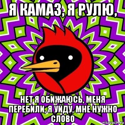 я камаз, я рулю, нет я обижаюсь, меня перебили, я уйду, мне нужно слово, Мем Омская птица