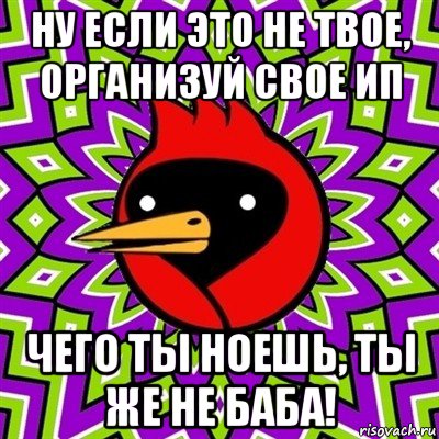 ну если это не твое, организуй свое ип чего ты ноешь, ты же не баба!, Мем Омская птица