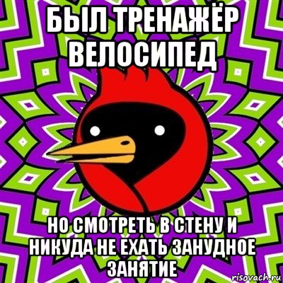 был тренажёр велосипед но смотреть в стену и никуда не ехать занудное занятие, Мем Омская птица