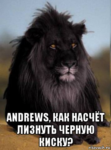  andrews, как насчёт лизнуть черную киску?, Мем Пасть порву