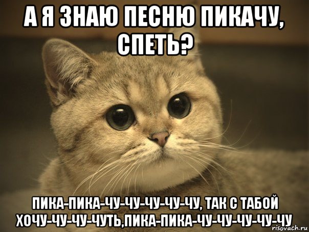 а я знаю песню пикачу, спеть? пика-пика-чу-чу-чу-чу-чу, так с табой хочу-чу-чу-чуть,пика-пика-чу-чу-чу-чу-чу