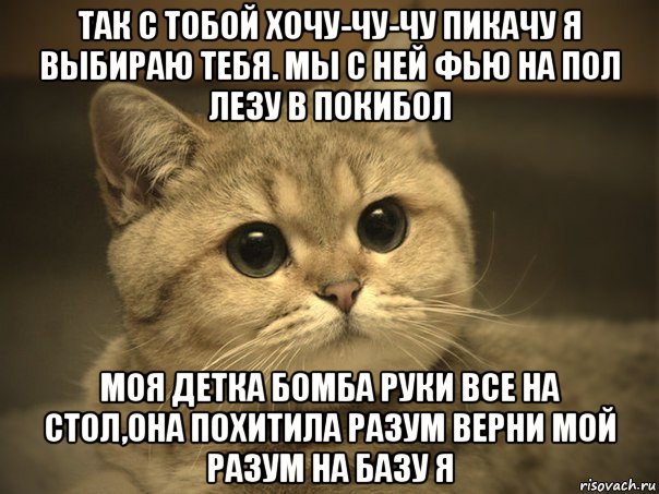 так с тобой хочу-чу-чу пикачу я выбираю тебя. мы с ней фью на пол лезу в покибол моя детка бомба руки все на стол,она похитила разум верни мой разум на базу я, Мем Пидрила ебаная котик