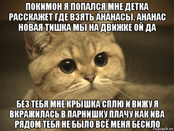 покимон я попался мне детка расскажет где взять ананасы. ананас новая тишка мы на движке ой да без тебя мне крышка сплю и вижу я вкражилась в парнишку плачу как ива рядом тебя не было всё меня бесило, Мем Пидрила ебаная котик