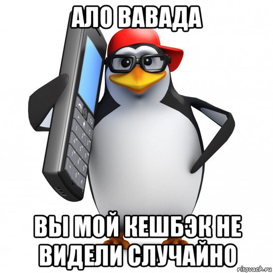 ало вавада вы мой кешбэк не видели случайно, Мем   Пингвин звонит