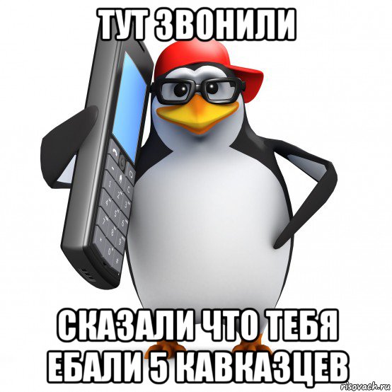 тут звонили сказали что тебя ебали 5 кавказцев, Мем   Пингвин звонит