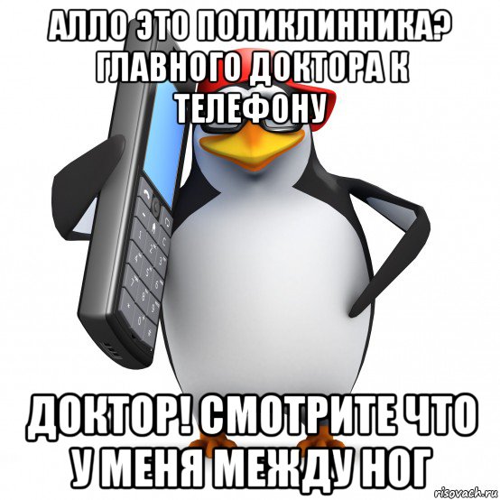 алло это поликлинника? главного доктора к телефону доктор! смотрите что у меня между ног, Мем   Пингвин звонит