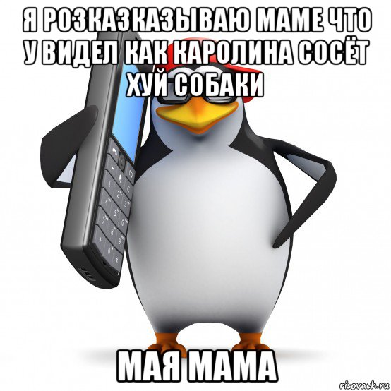 я розказказываю маме что у видел как каролина сосёт хуй собаки мая мама, Мем   Пингвин звонит