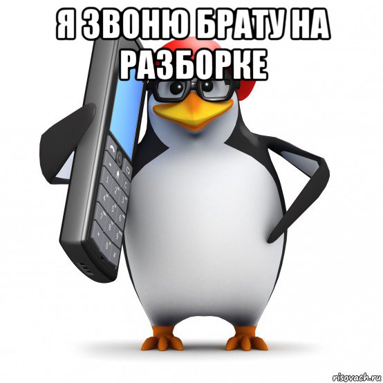 я звоню брату на разборке , Мем   Пингвин звонит