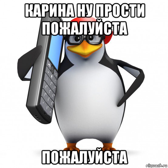 карина ну прости пожалуйста пожалуйста, Мем   Пингвин звонит