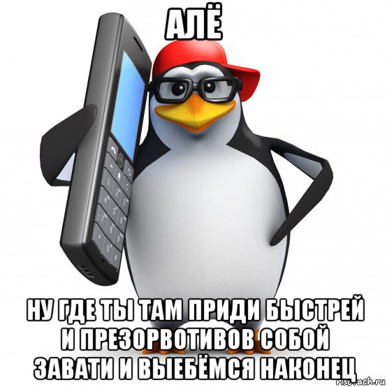 алё ну где ты там приди быстрей и презорвотивов собой завати и выебёмся наконец, Мем   Пингвин звонит