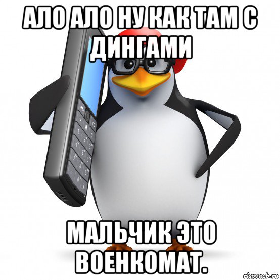 ало ало ну как там с дингами мальчик это военкомат., Мем   Пингвин звонит