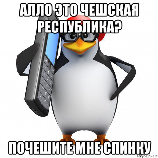 алло это чешская республика? почешите мне спинку, Мем   Пингвин звонит