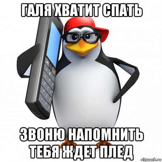 галя хватит спать звоню напомнить тебя ждет плед, Мем   Пингвин звонит