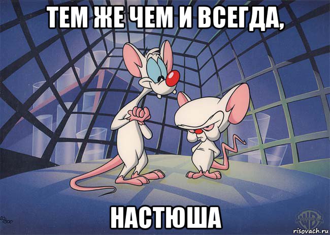 тем же чем и всегда, настюша