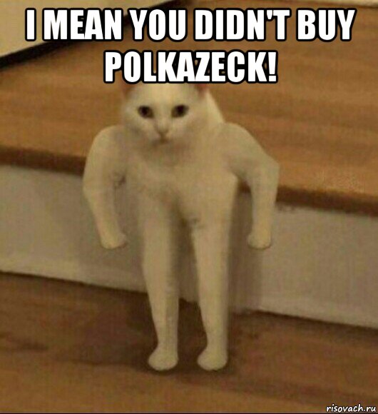 i mean you didn't buy polkazeck! , Мем  Полукот