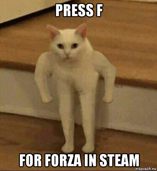 press f for forza in steam, Мем  Полукот