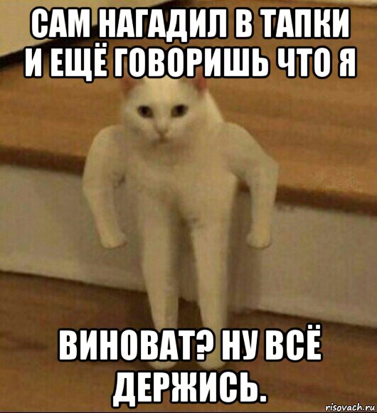 сам нагадил в тапки и ещё говоришь что я виноват? ну всё держись., Мем  Полукот