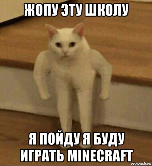 жопу эту школу я пойду я буду играть minecraft, Мем  Полукот