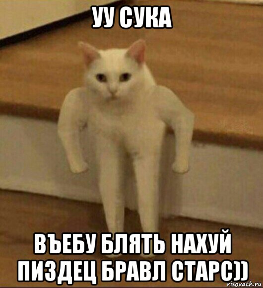 уу сука въебу блять нахуй пиздец бравл старс)), Мем  Полукот