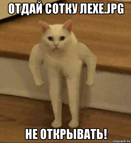 отдай сотку лехе.jpg не открывать!, Мем  Полукот