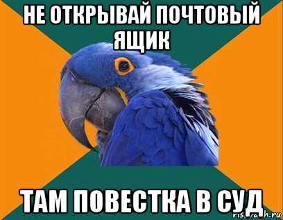 не открывай почтовый ящик там повестка в суд, Мем Попугай параноик