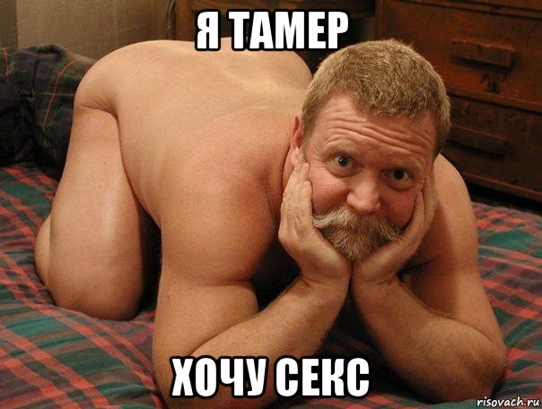 я тамер хочу секс