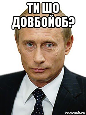 ти шо довбойоб? , Мем Путин