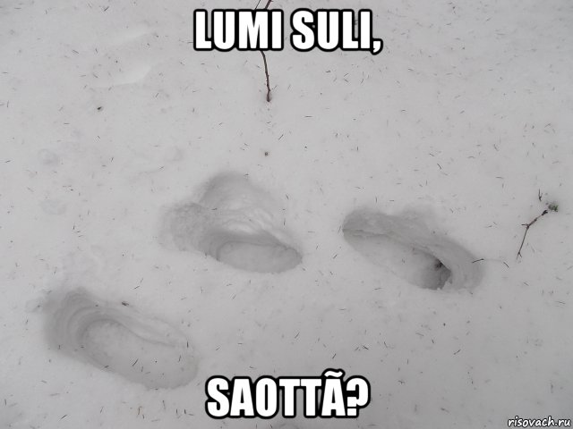 lumi suli, saottã?, Мем Следы в снегу