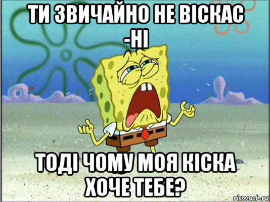 ти звичайно не віскас -ні тоді чому моя кіска хоче тебе?, Мем Спанч Боб плачет